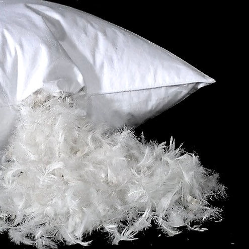 Supersoft Cotton Pillow - HomeCompli
