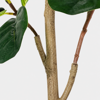 FICA Artificial Fig Tree